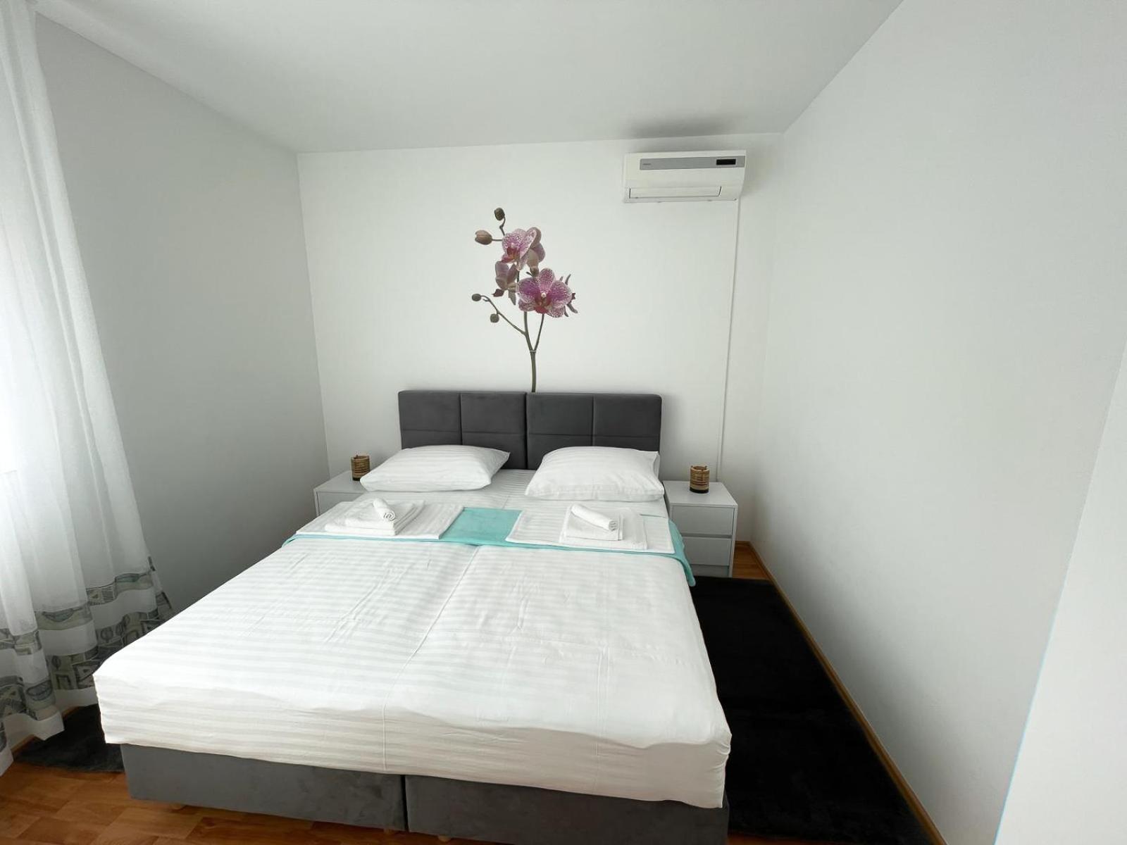 Apartmani Tatjana Novalja Ngoại thất bức ảnh